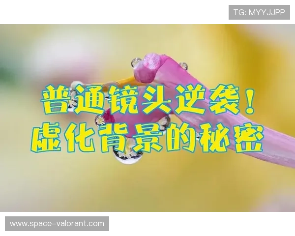 观众反馈回路缩短至实时，直接影响镜头切换与内容呈现